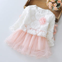 Wear a dress on behalf of autumn baby child Princess Dress girls dress baby clothes two piece autumn - TOYCENT 